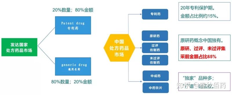 深入剖析大立医药有限公司:行业领袖的崛起之路
