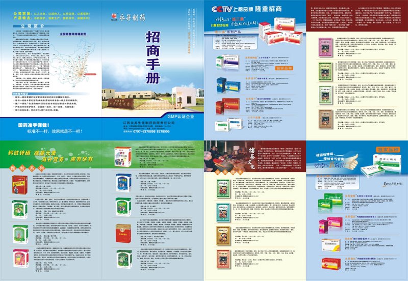 大立医药有限公司：如何在竞争中脱颖而出？